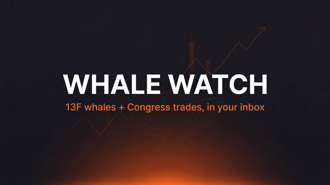 Whale Watch cover